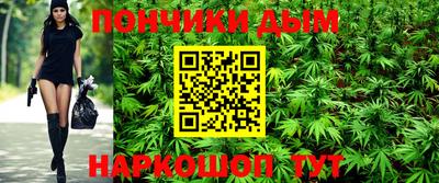 стафф Шебекино