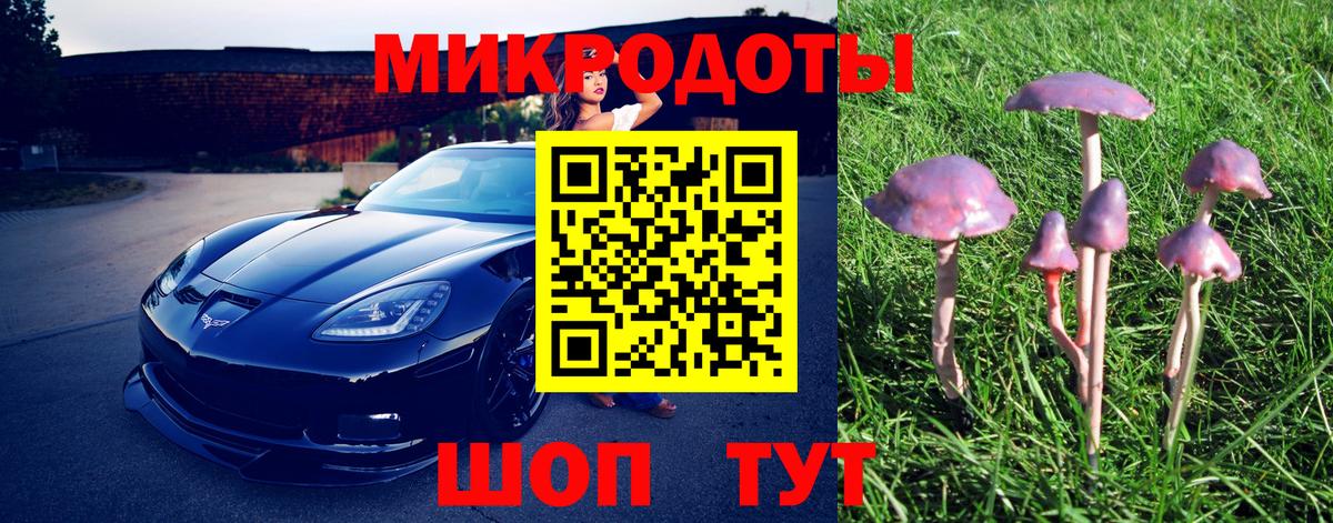 Галлюциногенные грибы мухоморы Красноармейск